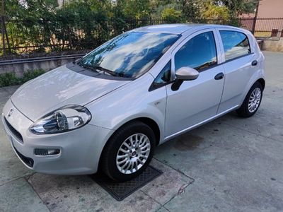 usata Fiat Punto Punto 1.2 8V 5 porte Street