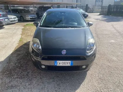 Usata Fiat Punto Evo Young 75 CV (55 kW) 2014 Utilitaria