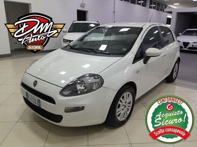 usata Fiat Punto 1.3 MJT II 75 CV 5 porte Lounge