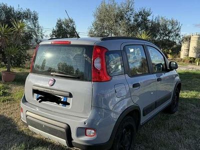 Usata Fiat Panda 4x4 86 CV (63 kW) 2018 Utilitaria