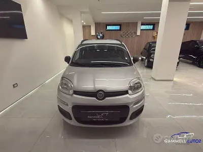 Usata Fiat Panda Easy 69 CV (50 kW) 2017 Grigio Utilitaria