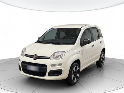 Usata Fiat Panda Easy 70 CV (51 kW) 2020 Bianco Berlina