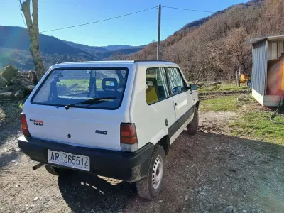 Usata Fiat Panda 4x4 44 CV (32 kW) 1989 Utilitaria
