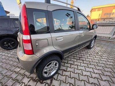 Usata Fiat Panda 4x4 Climbing 60 CV (44 kW) 2010 Verde Utilitaria