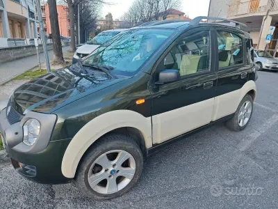 Usata Fiat Panda 4x4 Cross 69 CV (50 kW) 2007 Verde Utilitaria