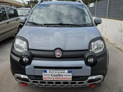 Usata Fiat Panda Cross Cross 85 CV (62 kW) 2019 Grigio Utilitaria