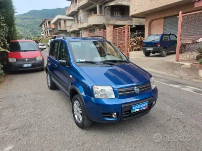 Usata Fiat Panda 4x4 Climbing 75 CV (55 kW) 2006 Bluazzurro Utilitaria