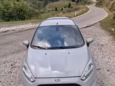 Usata Ford Fiesta ST200 200 CV (147 kW) 2020 Grigio Utilitaria