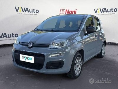 Usata Fiat Panda Pop 69 CV (50 kW) 2019 Grigio Utilitaria