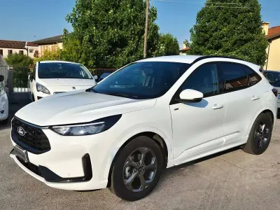 Usata Ford Kuga ST-Line 179 CV (131 kW) 2025 Bianco SUV