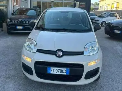 Usata Fiat Panda Easy 80 CV (58 kW) 2015 Beige cappuccino Utilitaria
