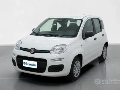 Nuova Fiat Panda Icon 65 CV (47 kW) 2026 Bianco gelato pastello Utilitaria