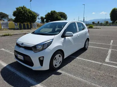 Usata Kia Picanto City 67 CV (49 kW) 2020 Bianco Utilitaria