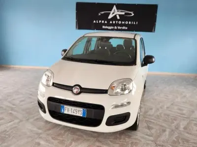 Käytetty Fiat Panda Easy 69 HP (50 kW) 2019 Valkoinen Viistoperä
