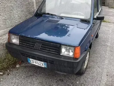Usata Fiat Panda