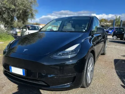 Brugt Tesla Model Y