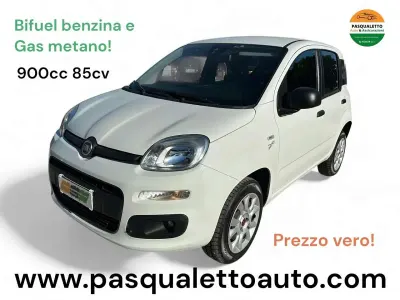 Usata Fiat Panda Easy 80 CV (58 kW) 2018 Bianco Utilitaria