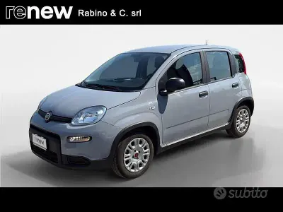 Usata Fiat Panda S 70 CV (51 kW) 2023 Grigio Utilitaria