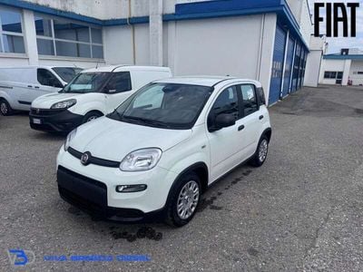 Usata Fiat Panda S 69 CV (50 kW) 2024 Bianco gelato Utilitaria