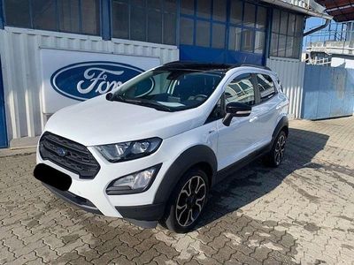 Usata Ford Ecosport Active 125 CV (91 kW) 2021 Bianco SUV