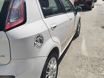 Usata Fiat Grande Punto 2011 Bianco Utilitaria
