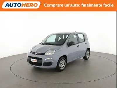 Usata Fiat Panda Easy 70 CV (51 kW) 2019 Grigio Utilitaria