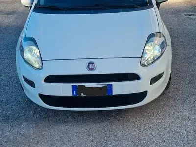 Usata Fiat Punto 2013 Bianco Utilitaria