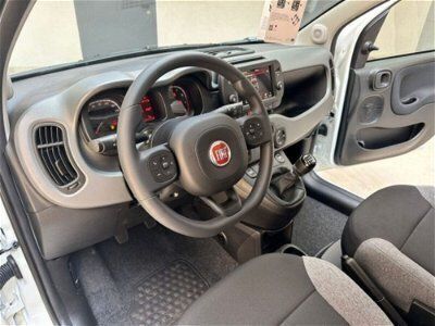 usata Fiat Panda Cross 1.0 FireFly S&S Hybrid City nuovo