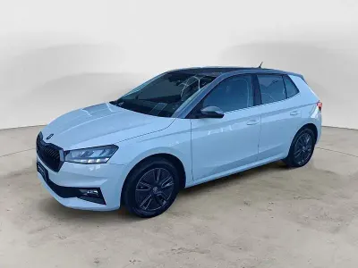 Usata Skoda Fabia