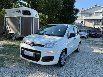 Usata Fiat Panda S 69 CV (50 kW) 2021 Bianco Utilitaria