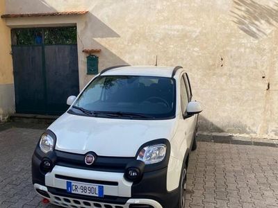 Usata Fiat Panda Cross Cross 69 CV (50 kW) 2023 Bianco Utilitaria