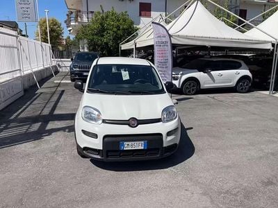 Usata Fiat Panda City Life 69 CV (50 kW) 2023 Bianco Utilitaria