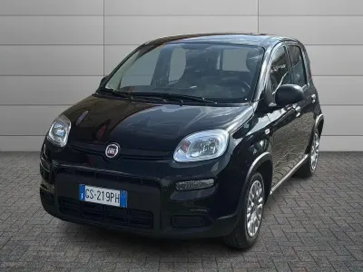 Usata Fiat Panda