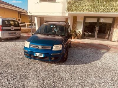 Usata Fiat Panda Active 60 CV (44 kW) 2007 Blu Utilitaria