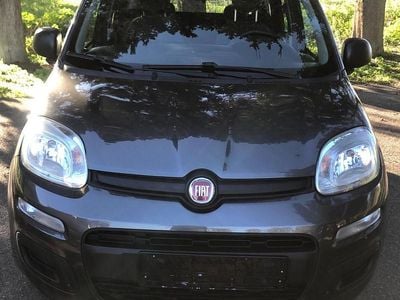 Usata Fiat Panda Lounge 69 CV (50 kW) 2018 Grigio Berlina