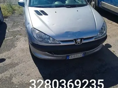 Usata Peugeot 206