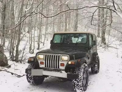Usata Jeep Wrangler Limited 184 CV (135 kW) 1996 Verde SUV
