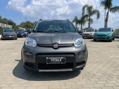 Usata Fiat Panda City Life 70 CV (51 kW) 2023 Grigio Utilitaria