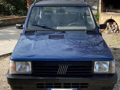 usata Fiat Panda 4x4 1.1 2002