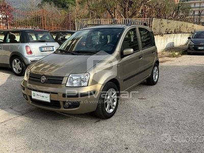 Usata Fiat Panda Dynamic 59 CV (43 kW) 2007 Giallo Utilitaria