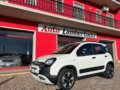 usata Fiat Panda Cross Cross 1.0 FireFly S&S Hybrid usato