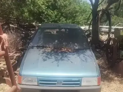 Usata Fiat Uno 45 CV (33 kW) 1992 Verde Utilitaria