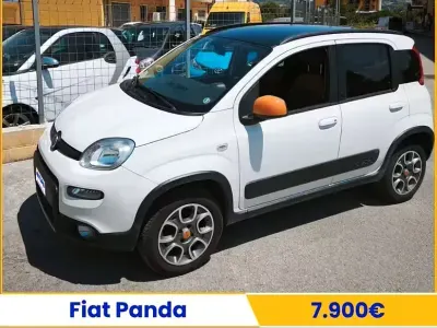 Usata Fiat Panda 4x4 S 75 CV (55 kW) 2013 Bianco Utilitaria