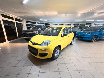 Nuova Fiat Panda S 70 CV (51 kW) 2025 Giallo Berlina
