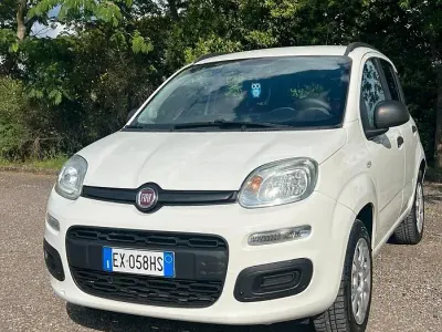 Usata Fiat Panda Pop 80 CV (58 kW) 2014 Bianco Utilitaria