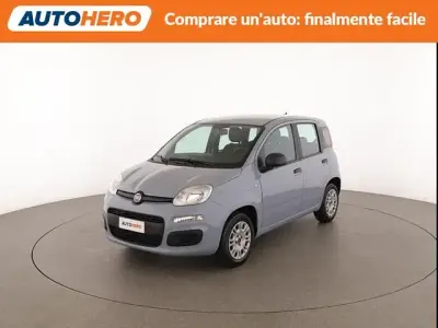 Usata Fiat Panda Easy 70 CV (51 kW) 2020 Grigio Utilitaria