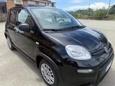 Usata Fiat Panda