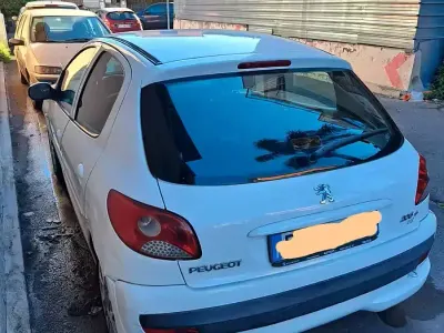 Usata Peugeot 206