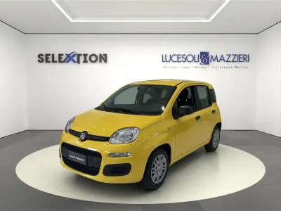 Nuova Fiat Panda Pop 65 CV (47 kW) 2026 Giallo Utilitaria