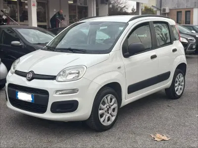 Usata Fiat Panda Dynamic 80 CV (58 kW) 2015 Argento Utilitaria